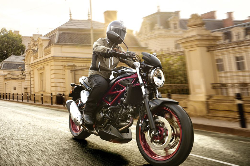 РЎСѓР·СѓРєРё sv650 2019