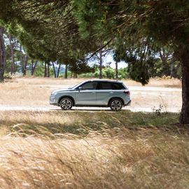 Фото Suzuki Vitara 2025