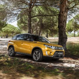 Фото Suzuki Vitara 2025